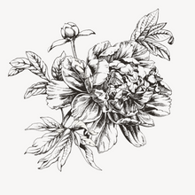 Load image into Gallery viewer, Flower Sketch - Wallpaper Circle