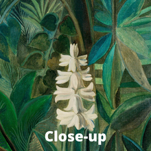 Load image into Gallery viewer, The Equatorial Jungle - Museum Painting Wallpaper Mural - Henri Rousseau