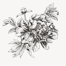 Load image into Gallery viewer, Flower Sketch - Wallpaper Circle
