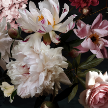 Afbeelding in Gallery-weergave laden, Wit en Roze Bloemen op een Donkere Achtergrond Behang Paneel. Wit, Zwart en Roze. 
