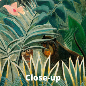 The Equatorial Jungle - Museum Schilderij Behang Paneel - Groen, Roze en Wit