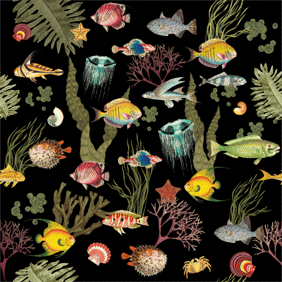 Ocean Life Zwart patroon behang met klassieke kleurrijke vissen