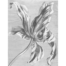 Afbeelding in Gallery-weergave laden, Tekening van een Tulp - Behang Paneel in Zwart en Wit
